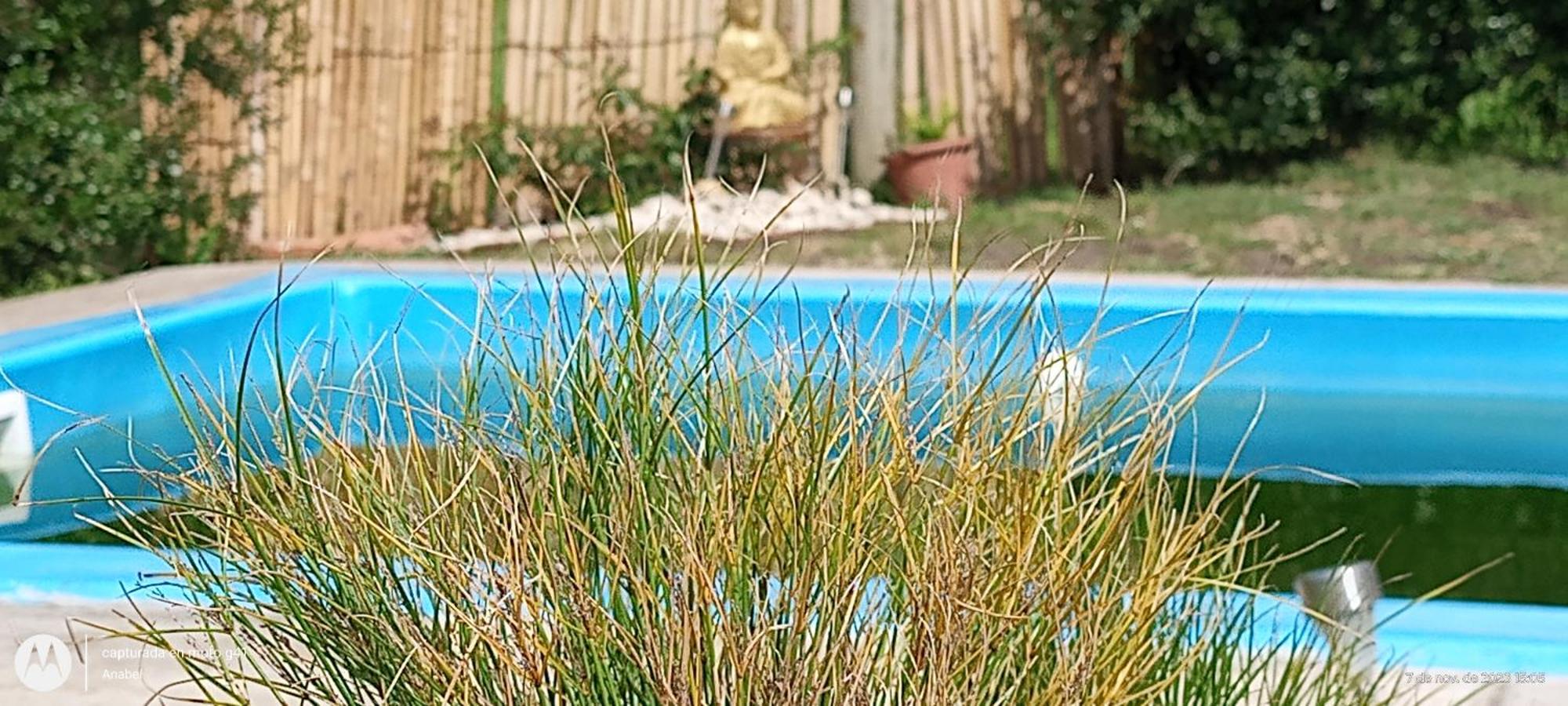 Cabana Colinas Verdes La Tamarita Sierra De Los Padres Mar del Plata Luaran gambar